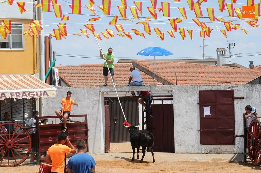 Momento de una de las capeas del sábado en Martín de Yeltes : Fotos: Adrián M. Pastor