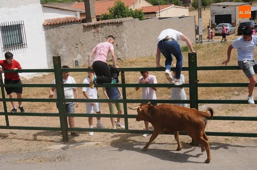 El público disfruto con el toro de cajón y las vaquillas/ Rep.Gráfico: Sergio Martín