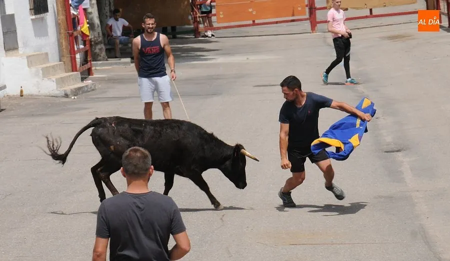 El público disfruto con el toro de cajón y las vaquillas/ Rep.Gráfico: Sergio Martín