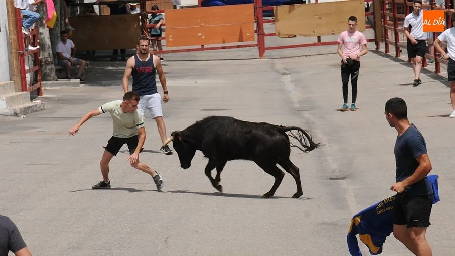 El público disfruto con el toro de cajón y las vaquillas/ Rep.Gráfico: Sergio Martín