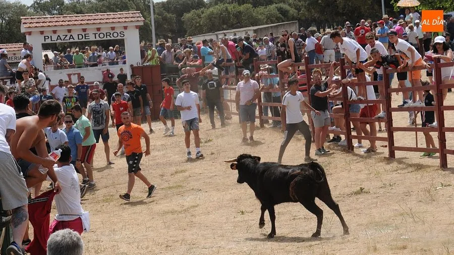 El público disfruto con el toro de cajón y las vaquillas/ Rep.Gráfico: Sergio Martín