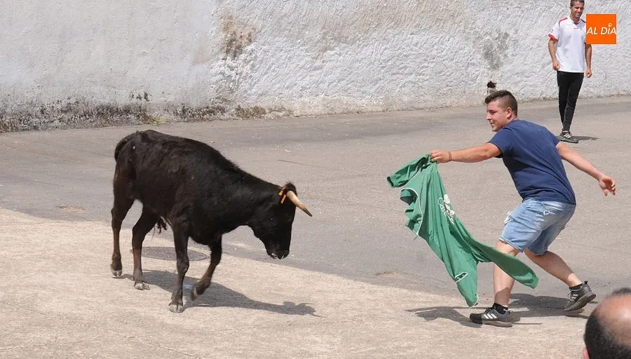 El público disfruto con el toro de cajón y las vaquillas/ Rep.Gráfico: Sergio Martín