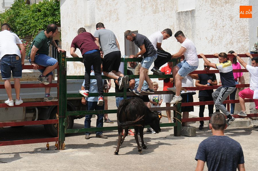 El público disfruto con el toro de cajón y las vaquillas/ Rep.Gráfico: Sergio Martín