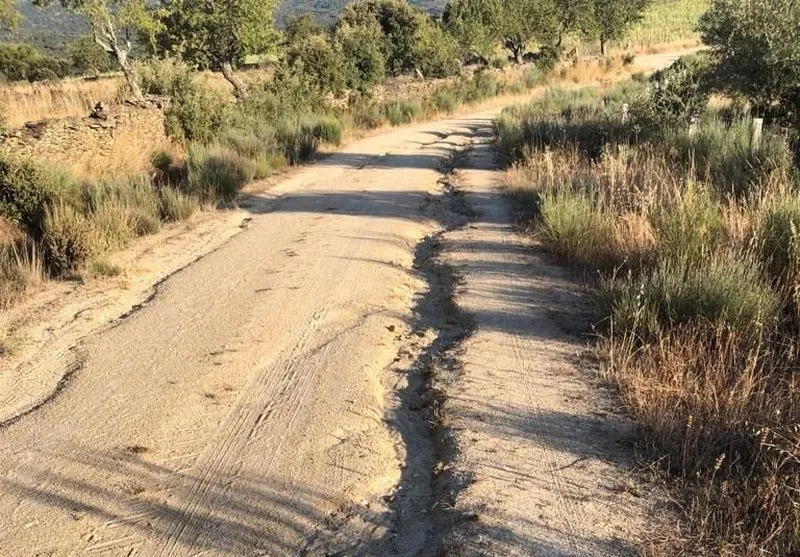 Estado en el que se encuentran los caminos
