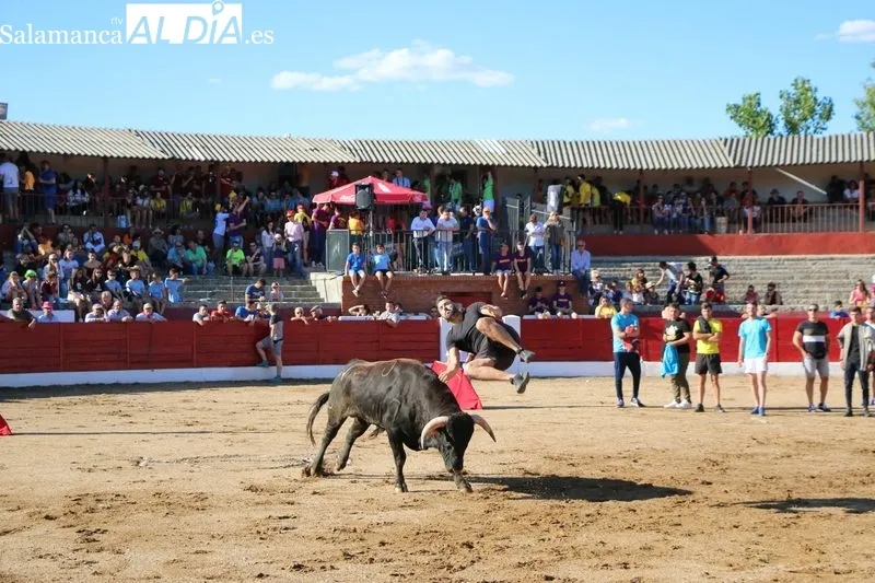 Foto 6 - Fiestas del Corpus en Vitigudino, celebraciones con un sabor eminentemente taurino  