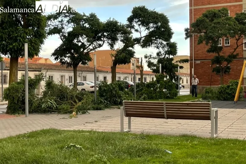 Bomberos y Policía Local acudían a la caída de cascotes en una fachada en la plaza de la Constitución 