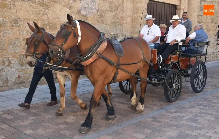 Foto 4 - Los romeros inician su recuperado camino con notables participaci&oacute;n y expectaci&oacute;n