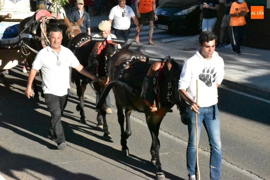 Foto 9 - Los romeros retornan a Mir&oacute;briga tras cuatro d&iacute;as en los que han tenido &ldquo;un poco de todo&rdquo;
