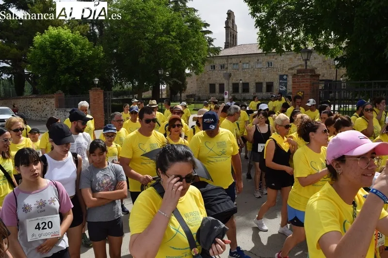 Foto 6 - Respuesta masiva al Paseo Solidario de San Jer&oacute;nimo en favor de las v&iacute;ctimas del conflicto de Ucrania