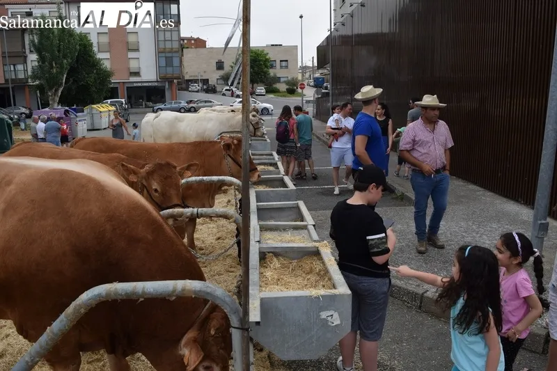Foto 11 - Exitoso y caluroso regreso de la Feria de San Antonio