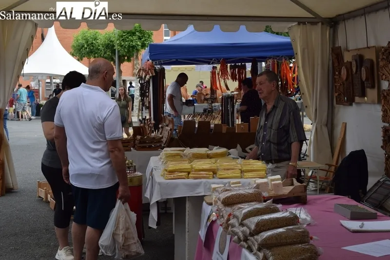 Foto 6 - Exitoso y caluroso regreso de la Feria de San Antonio