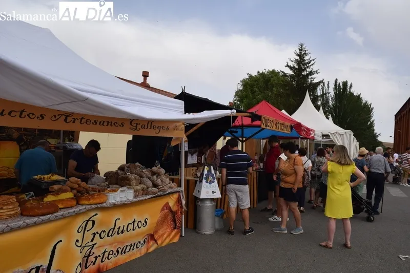 Foto 5 - Exitoso y caluroso regreso de la Feria de San Antonio