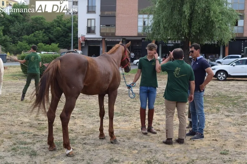 Foto 4 - Exitoso y caluroso regreso de la Feria de San Antonio