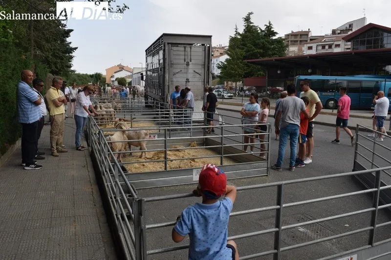 Foto 2 - Exitoso y caluroso regreso de la Feria de San Antonio