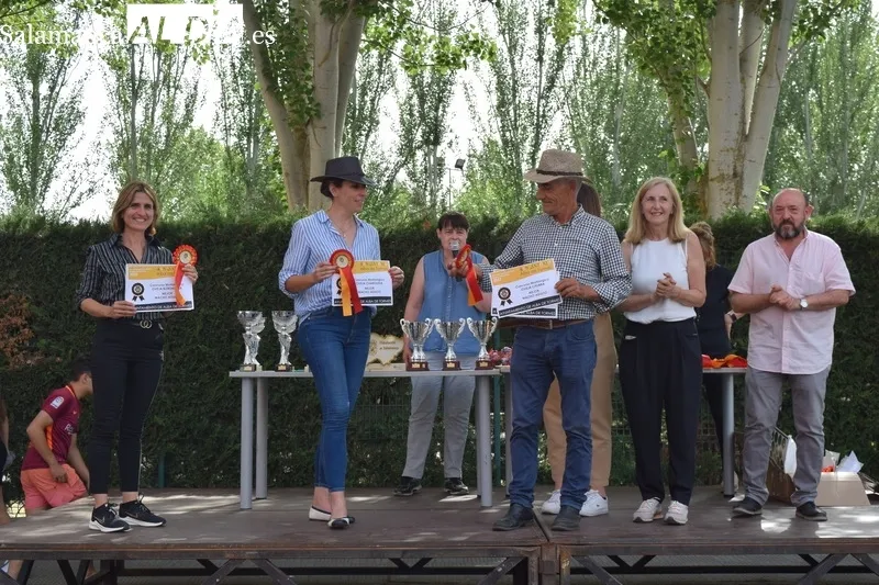 Foto 13 - Entrega de premios de los concursos morfol&oacute;gicos de la Feria de San Antonio