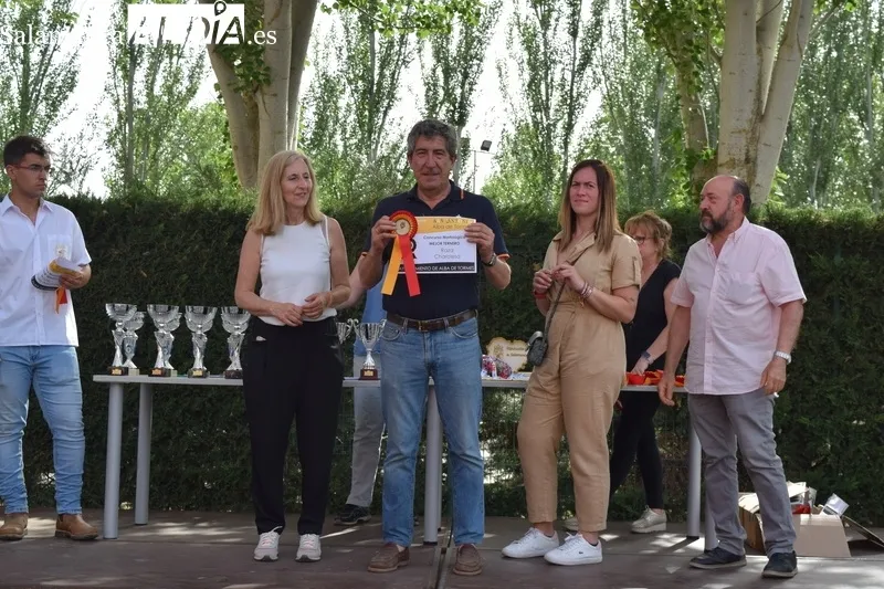 Foto 10 - Entrega de premios de los concursos morfol&oacute;gicos de la Feria de San Antonio