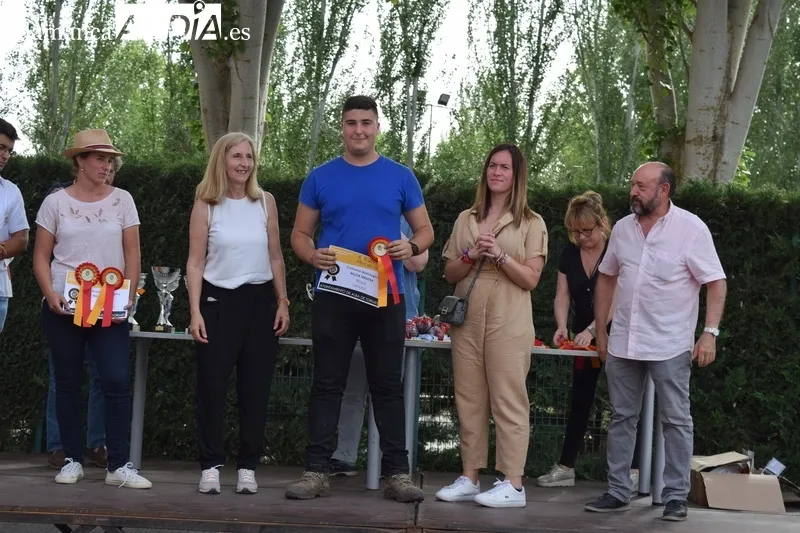 Foto 8 - Entrega de premios de los concursos morfol&oacute;gicos de la Feria de San Antonio