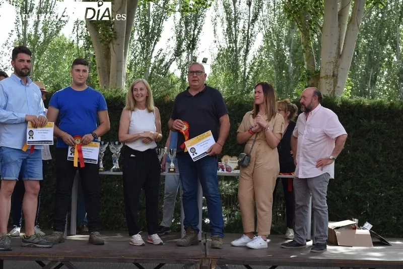Foto 6 - Entrega de premios de los concursos morfol&oacute;gicos de la Feria de San Antonio