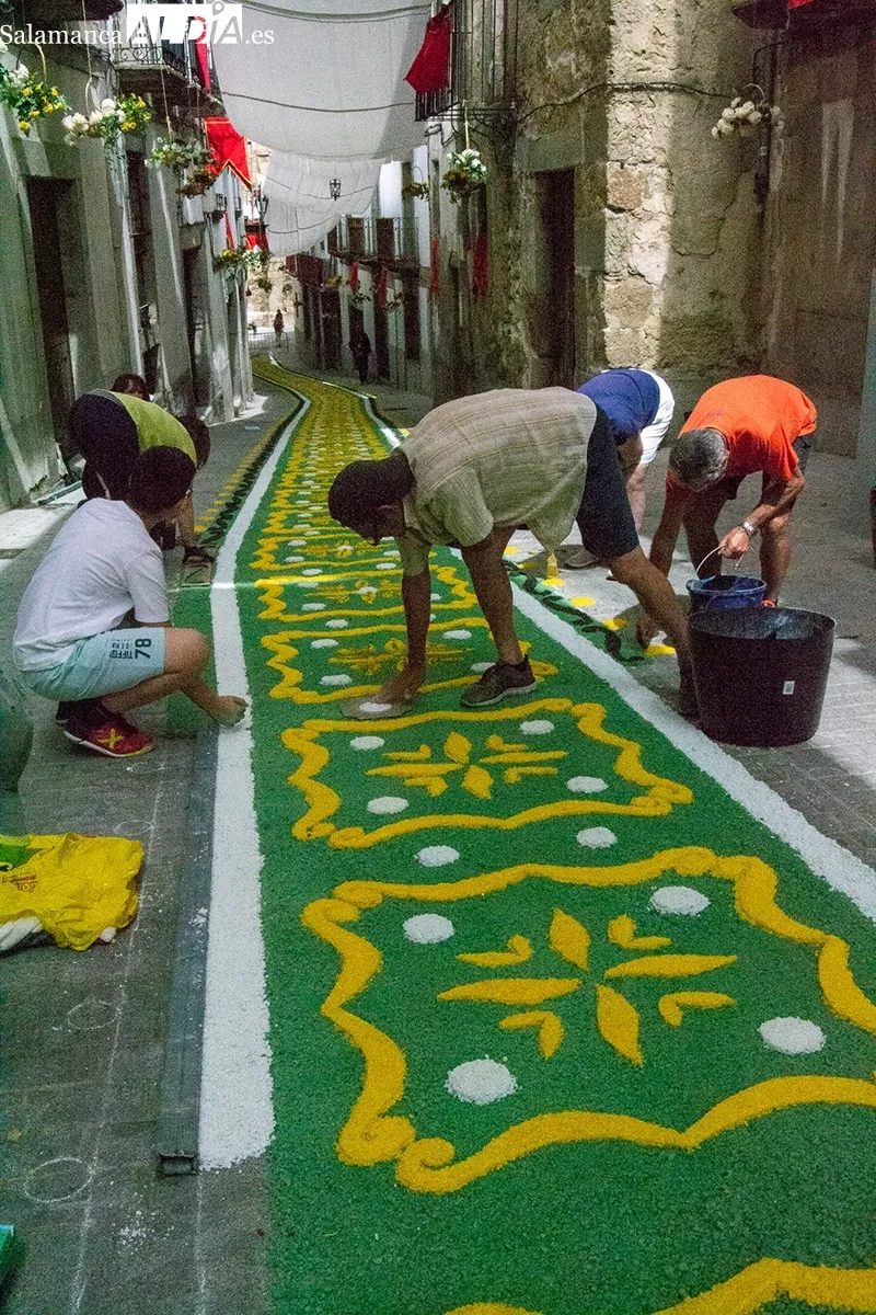Foto 7 - Las alfombras de sal vuelven a la vida gracias al esfuerzo com&uacute;n