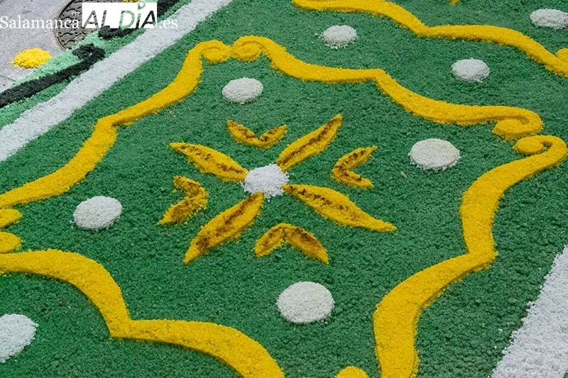 Foto 6 - Las alfombras de sal vuelven a la vida gracias al esfuerzo com&uacute;n