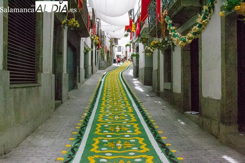 Foto 4 - Las alfombras de sal vuelven a la vida gracias al esfuerzo com&uacute;n