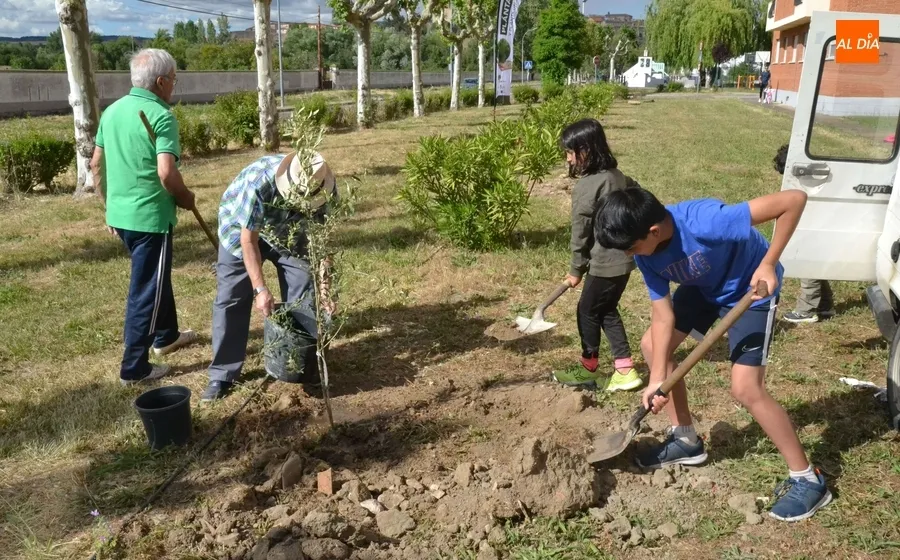 Foto 11 - Cinco localidades de la comarca plantan nuevos &aacute;rboles frutales para mejorar la biodiversidad