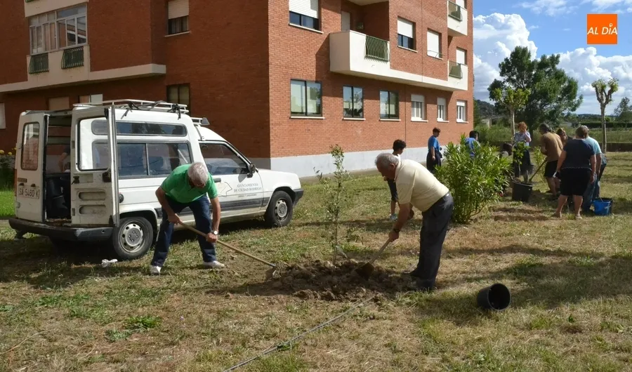 Foto 10 - Cinco localidades de la comarca plantan nuevos &aacute;rboles frutales para mejorar la biodiversidad