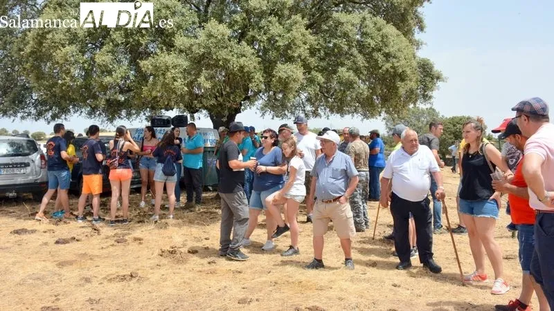 La fiesta campera incluyó el encierro de dos vaquillas por el Monte