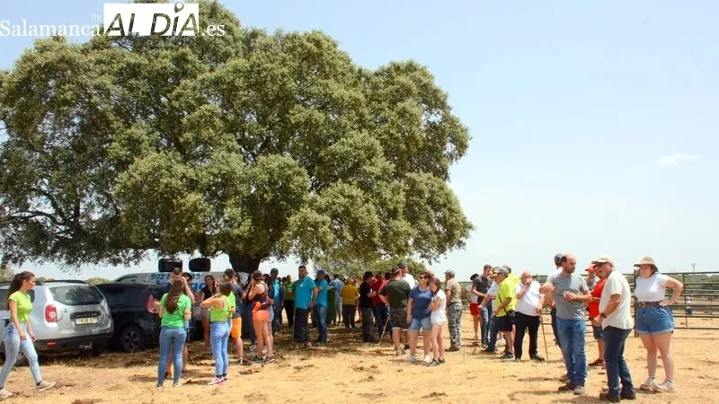 La fiesta campera incluyó el encierro de dos vaquillas por el Monte