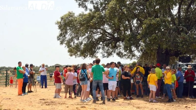 La fiesta campera incluyó el encierro de dos vaquillas por el Monte