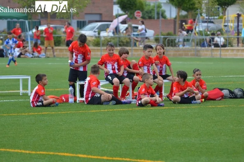 Foto 6 - Cerca de 500 ni&ntilde;os disfrutan con el primer torneo de f&uacute;tbol base 'Fiestas del Corpus' del Cabrerizos