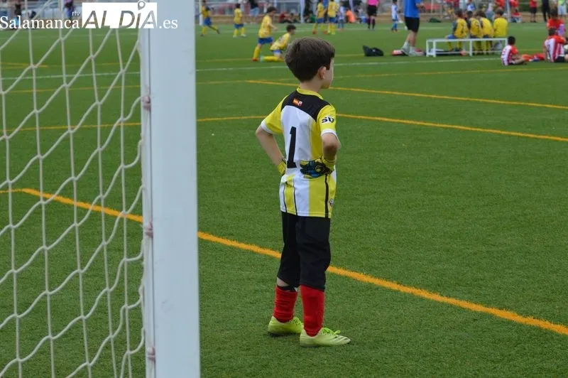 Foto 11 - Cerca de 500 ni&ntilde;os disfrutan con el primer torneo de f&uacute;tbol base 'Fiestas del Corpus' del Cabrerizos