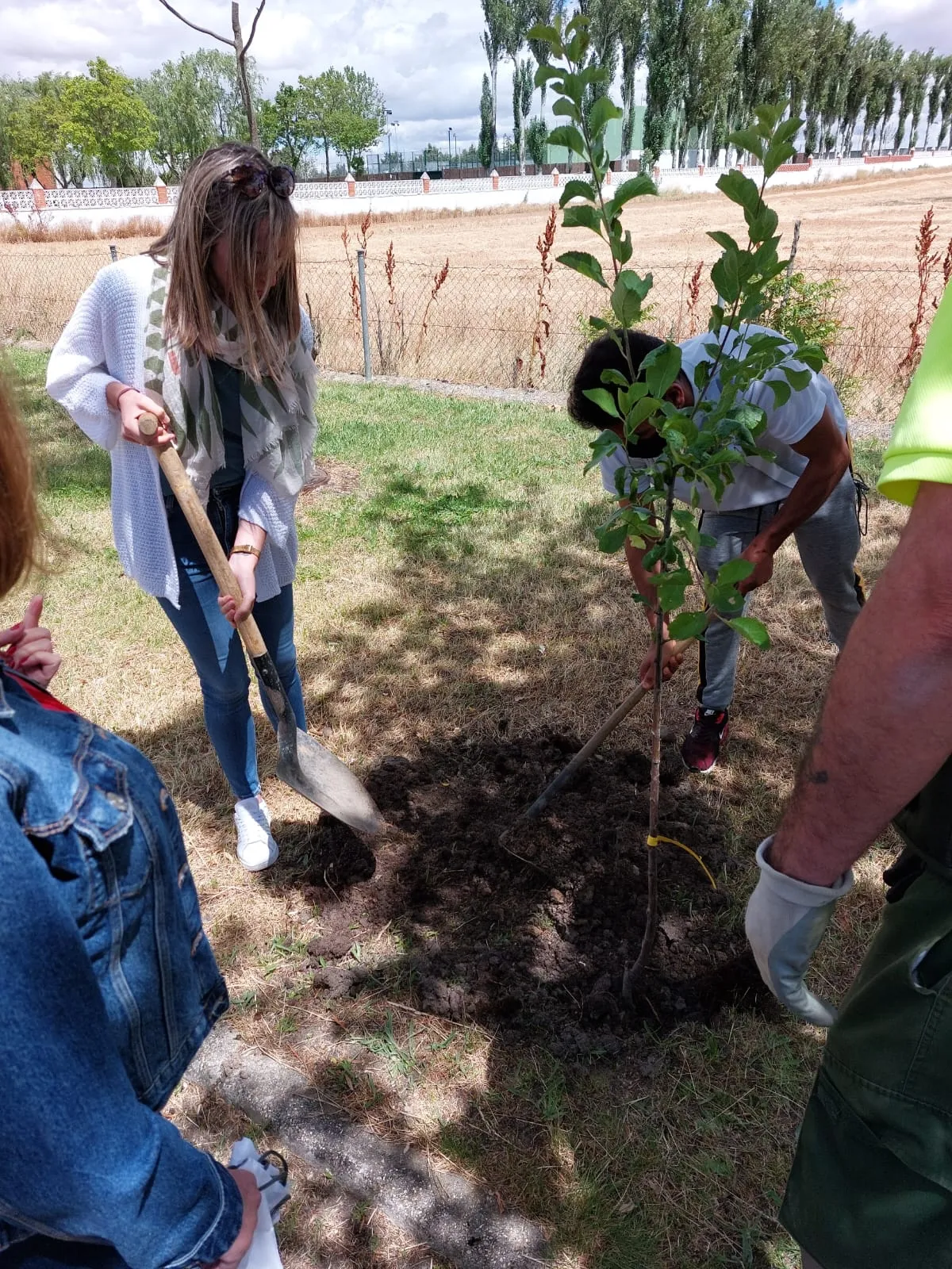 El proyecto Arbolar consigue plantar mas de 30 nuevos arboles en Peñaranda