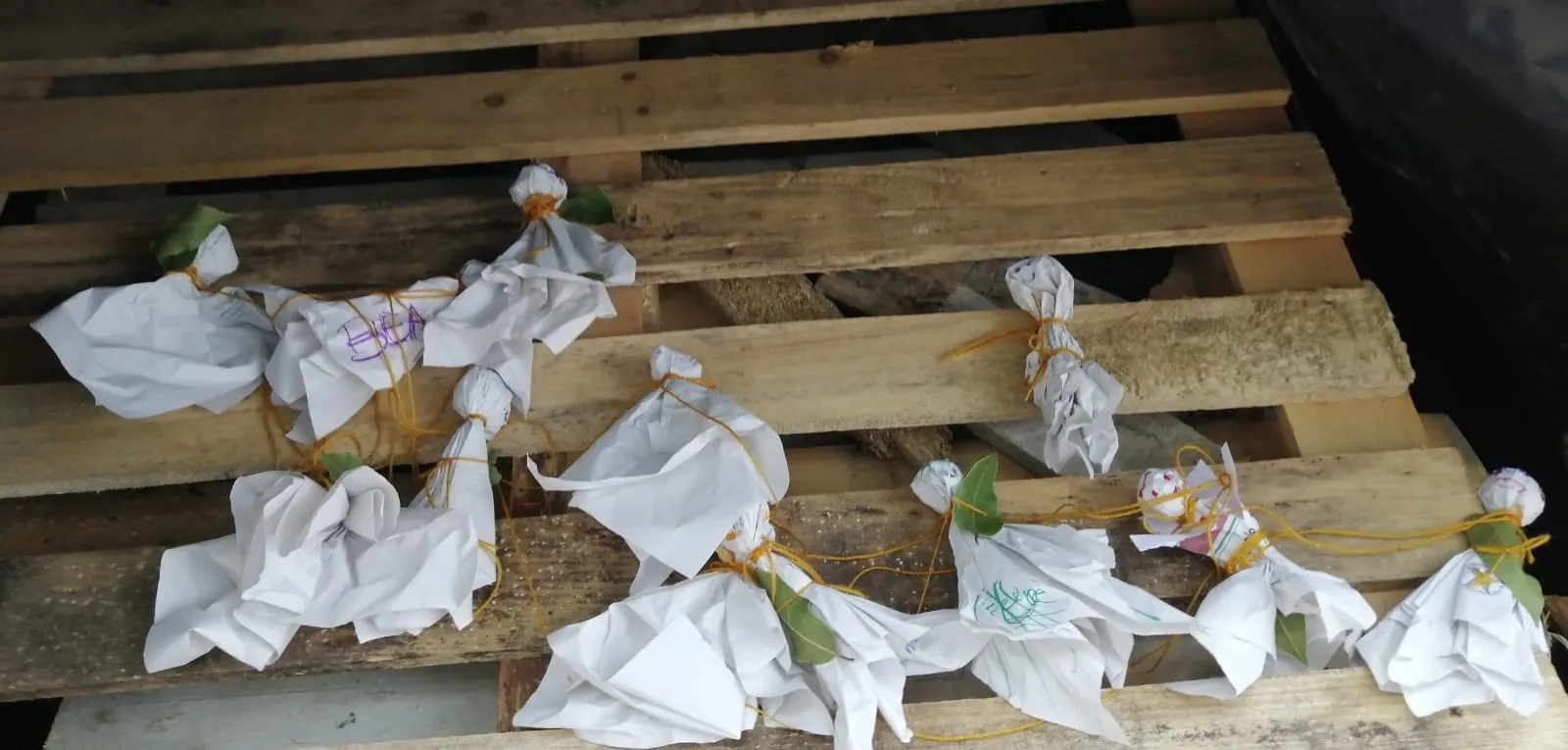 Huerta ha retomado la festividad de la Noche de San Juan