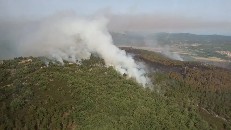 Trabajos de extinción del fuego en la Sierra de la Culebra