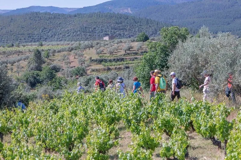Fiesta de la Cereza en Sotoserrano