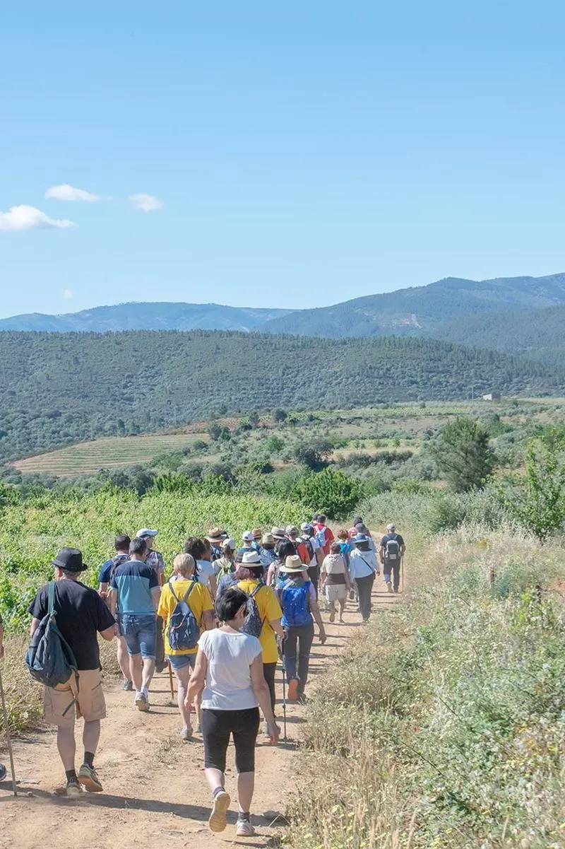 Fiesta de la Cereza en Sotoserrano