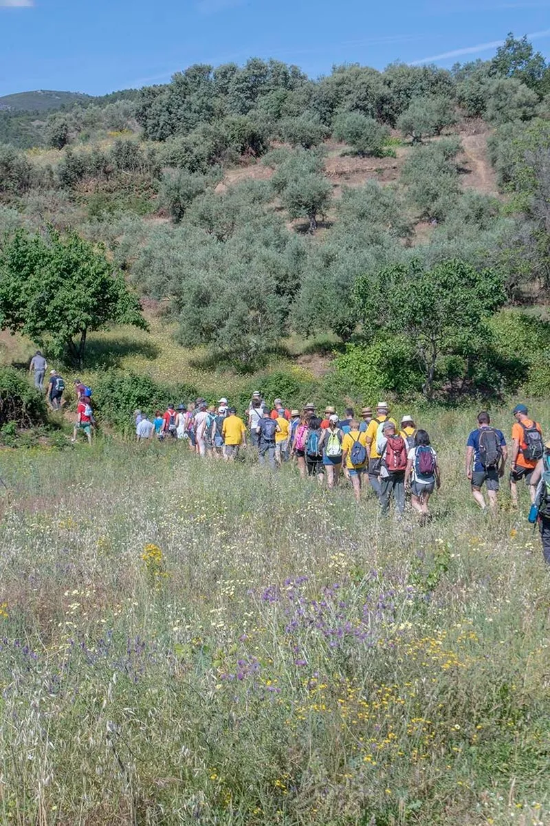 Fiesta de la Cereza en Sotoserrano