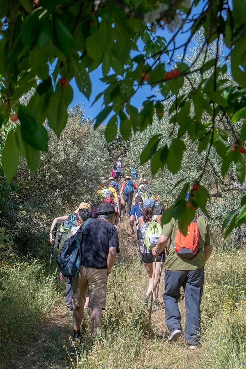 Fiesta de la Cereza en Sotoserrano