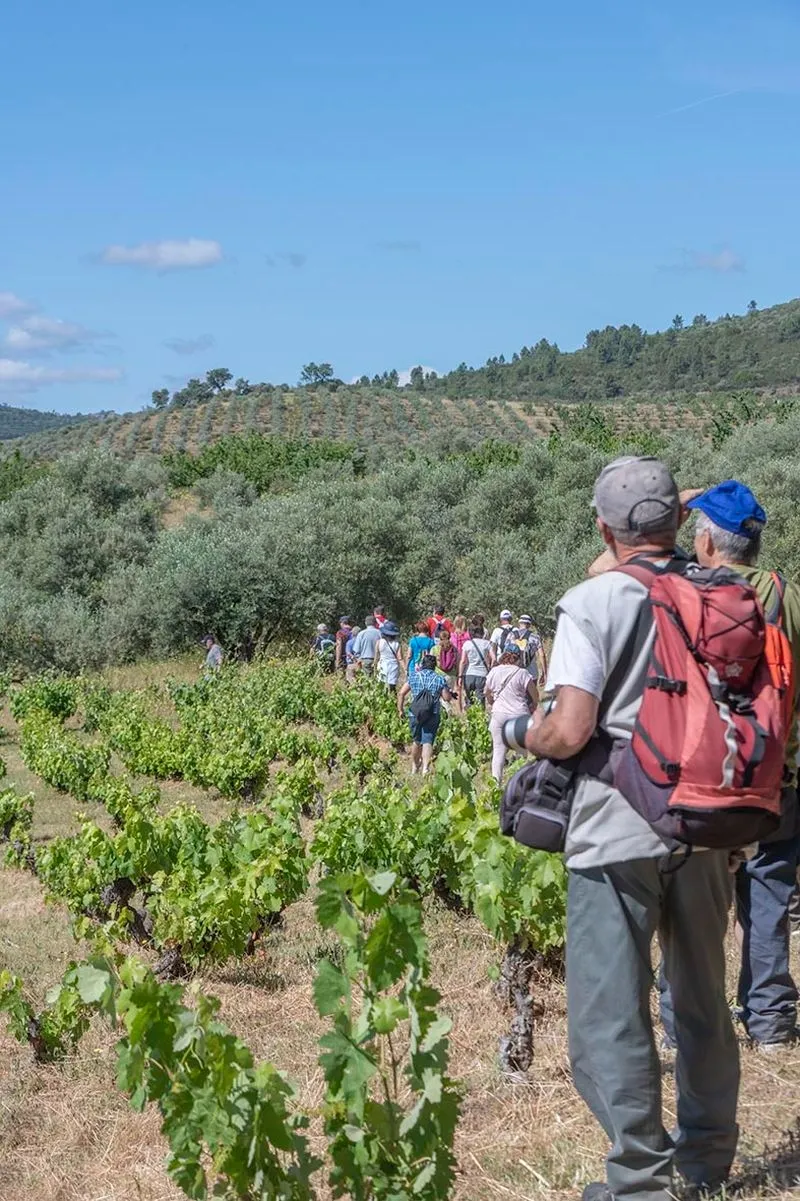 Fiesta de la Cereza en Sotoserrano