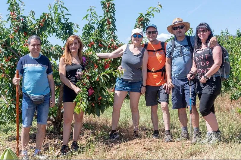Fiesta de la Cereza en Sotoserrano