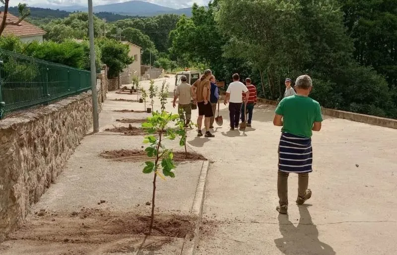 Foto 7 - Cinco localidades de la comarca plantan nuevos &aacute;rboles frutales para mejorar la biodiversidad