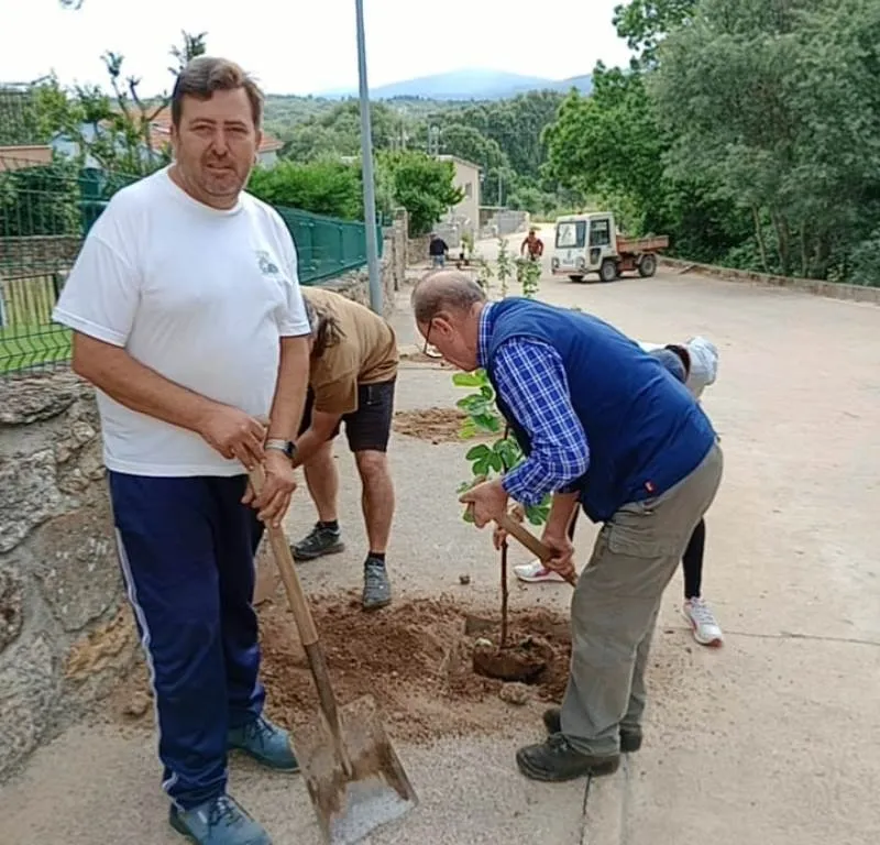 Foto 6 - Cinco localidades de la comarca plantan nuevos &aacute;rboles frutales para mejorar la biodiversidad