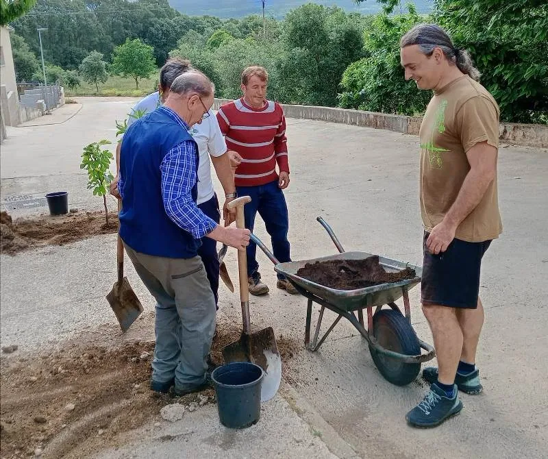 Foto 2 - Cinco localidades de la comarca plantan nuevos &aacute;rboles frutales para mejorar la biodiversidad
