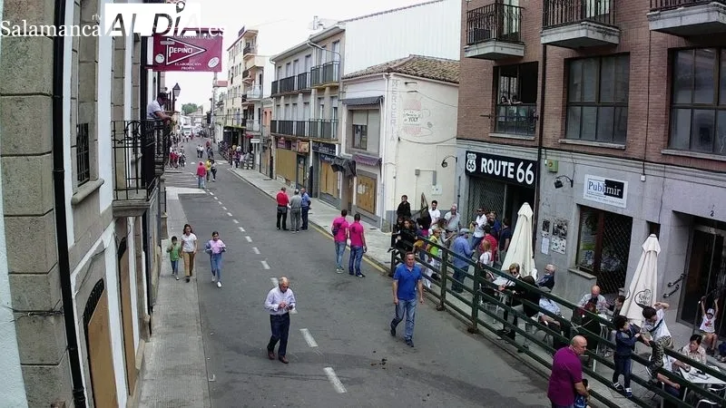 Encierro tradicional de este domingo, último día de las fiestas del Corpus en Vitigudino