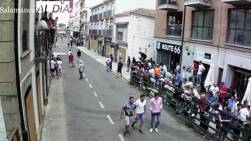 Encierro tradicional de este domingo, último día de las fiestas del Corpus en Vitigudino