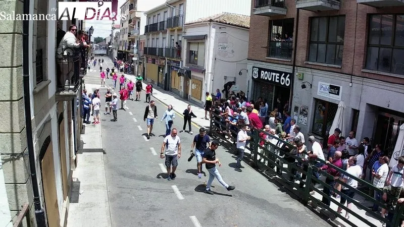 Encierro tradicional de este domingo, último día de las fiestas del Corpus en Vitigudino