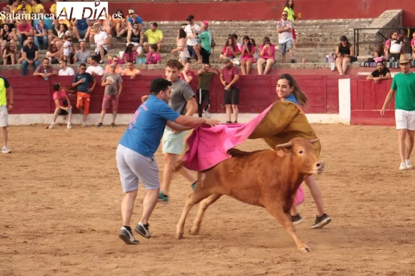 Capea del Viernes de Corpus en Vitigudino / CORRAL