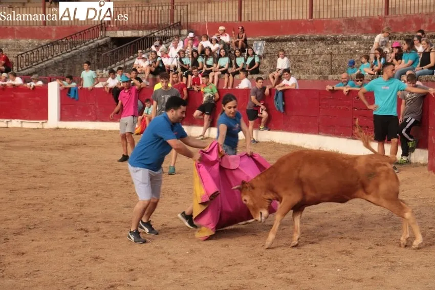 Capea del Viernes de Corpus en Vitigudino / CORRAL