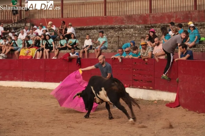 Capea del Viernes de Corpus en Vitigudino / CORRAL